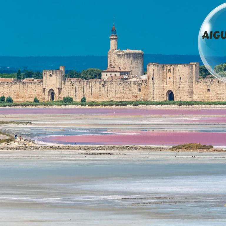 Le Cosy du Gal, à 2 Pas du Palais des Papes - Apartment mit 1 Schlafzimmer - 24