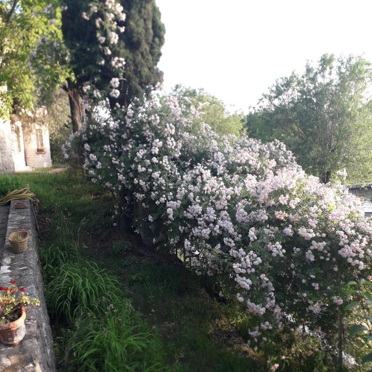 Villa immersa in Natura - Appartamento con 1 Camera da Letto - 76