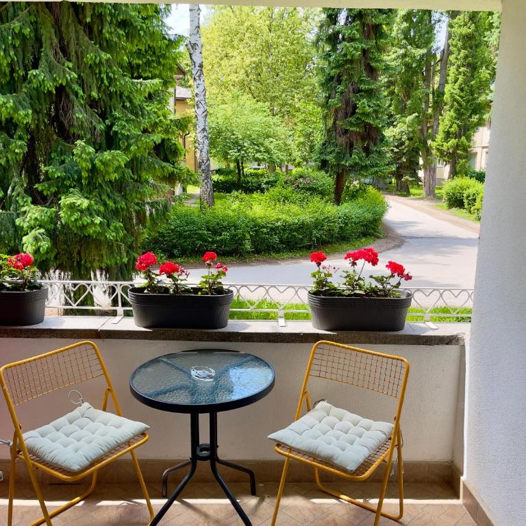 ANET Apartman Visoko - Apartman sa 1 Spavaćom Sobom - 14