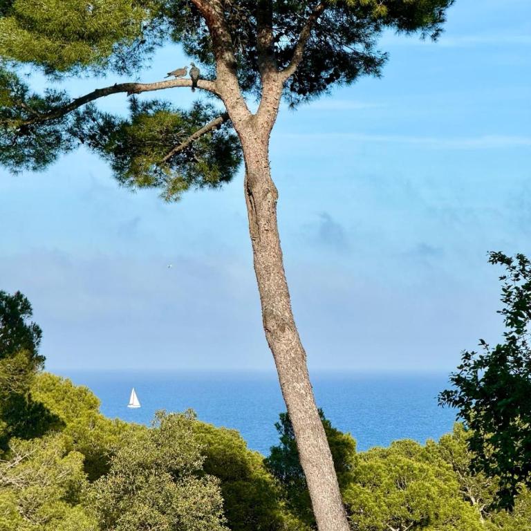 Apartment, short walk to the beach with aircon - Apartamento de 2 dormitorios con balcón y vistas al mar - 4