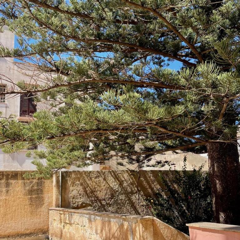 La Quiete - Appartamento con 2 Camere da Letto - 19