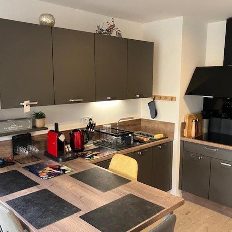 Appartement calme, jardin, 4 pers, Proche plage et commerces, Parking, Normes Handicapés - FR-1-494-167 - Apartamento - 8