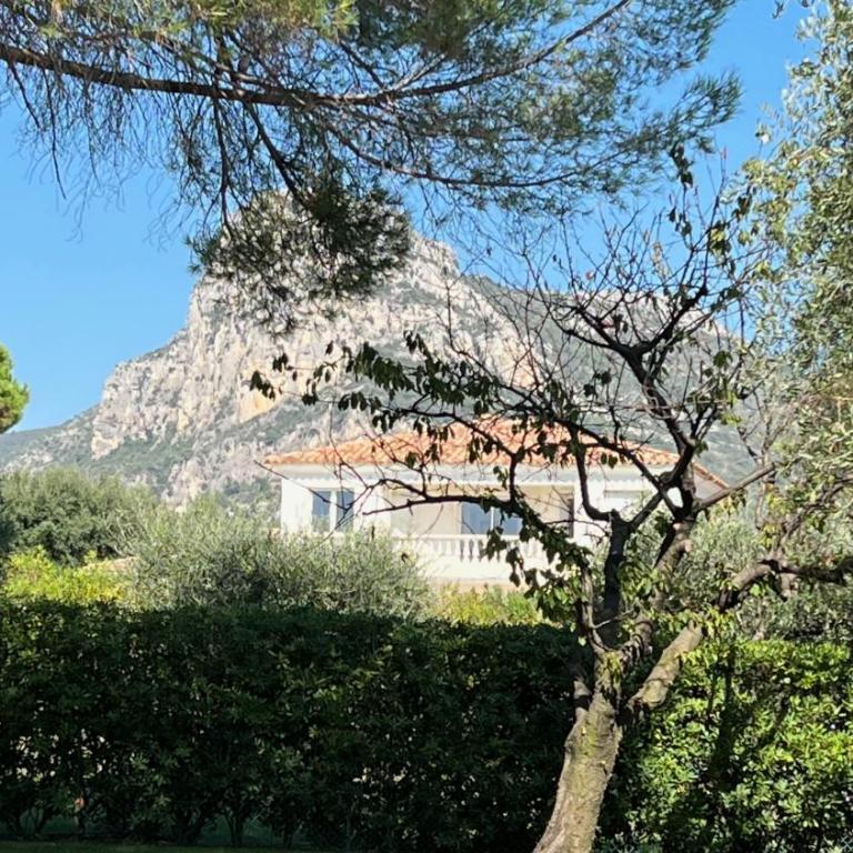 Magnifique Villa Moderne Avec Piscine - Villa avec Piscine Privée - 28