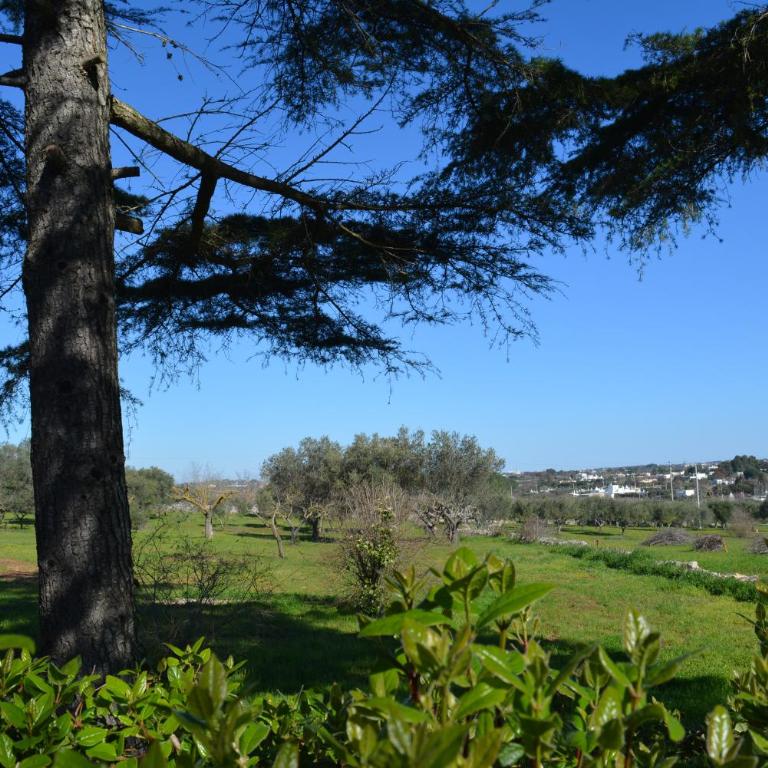 Trulli DOmimi'2024 - Appartamento con 3 Camere da Letto - 72