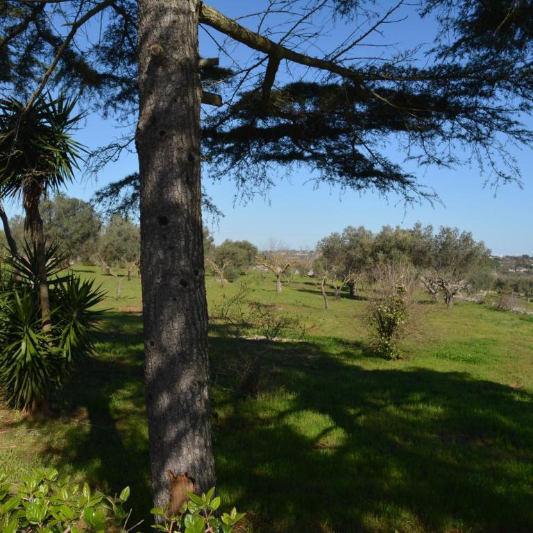 Trulli DOmimi'2024 - Appartamento con 3 Camere da Letto - 79