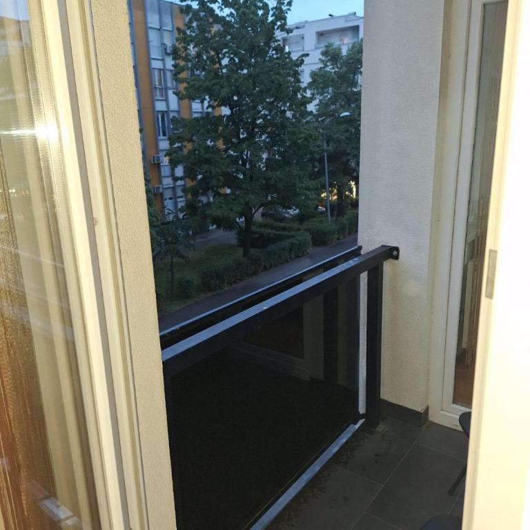 Park Apartment - Two-Bedroom Apartment - 7