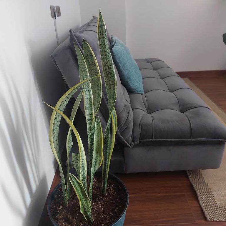 Departamento de Lujo con Piscina - Apartamento de 1 dormitorio - 2