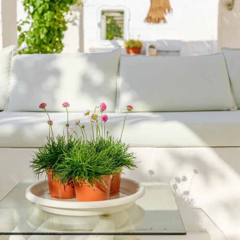 Ideal Rooms - Camera Queen con Vista Giardino - 8