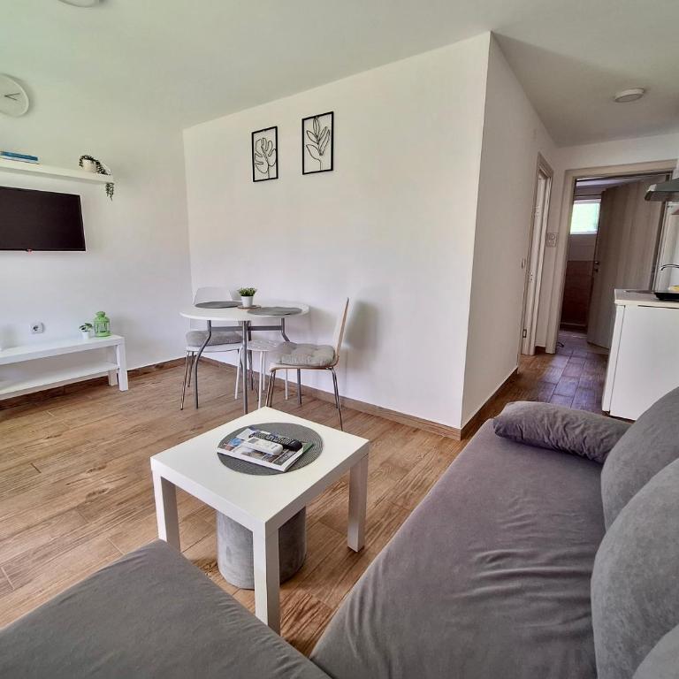 Apartmani Vlasina Sokobanja - One-Bedroom Apartment - 11