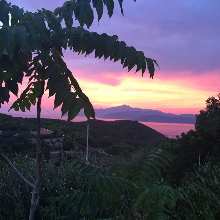Casina Innamorata tra Natura e Mare - Elba Affitti - Appartamento con 1 Camera da Letto - 2