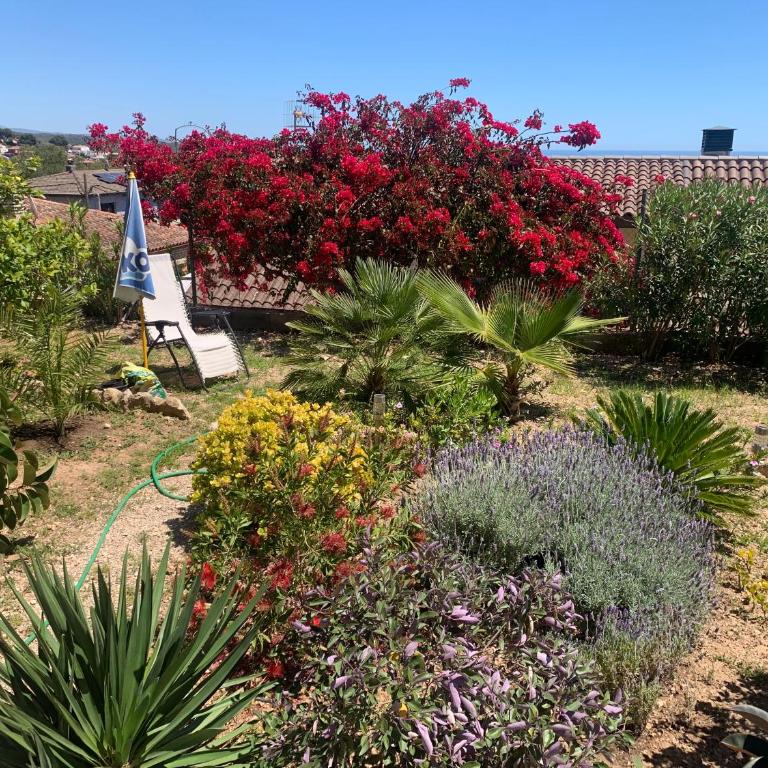 Precioso apartamento con vista al mar - Apartamento de 2 dormitorios - 45