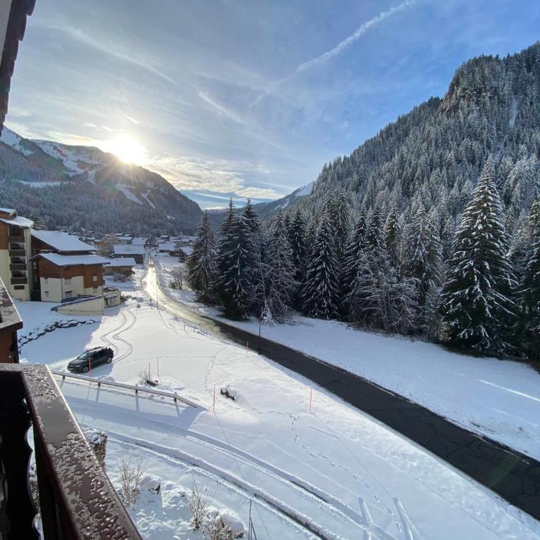 Appartement paisible à Châtel avec WiFi et parking - FR-1-693-12 - Apartment - 12