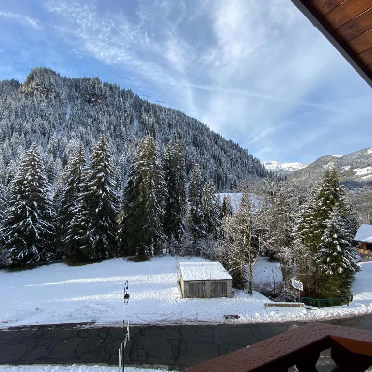 Appartement paisible à Châtel avec WiFi et parking - FR-1-693-12 - Apartment - 13