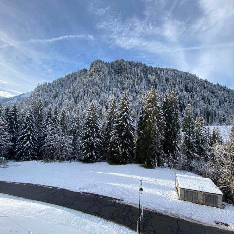 Appartement paisible à Châtel avec WiFi et parking - FR-1-693-12 - Apartment - 14