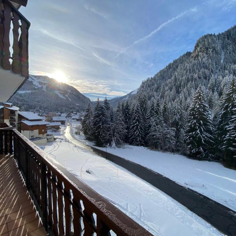Appartement paisible à Châtel avec WiFi et parking - FR-1-693-12 - Apartment - 15