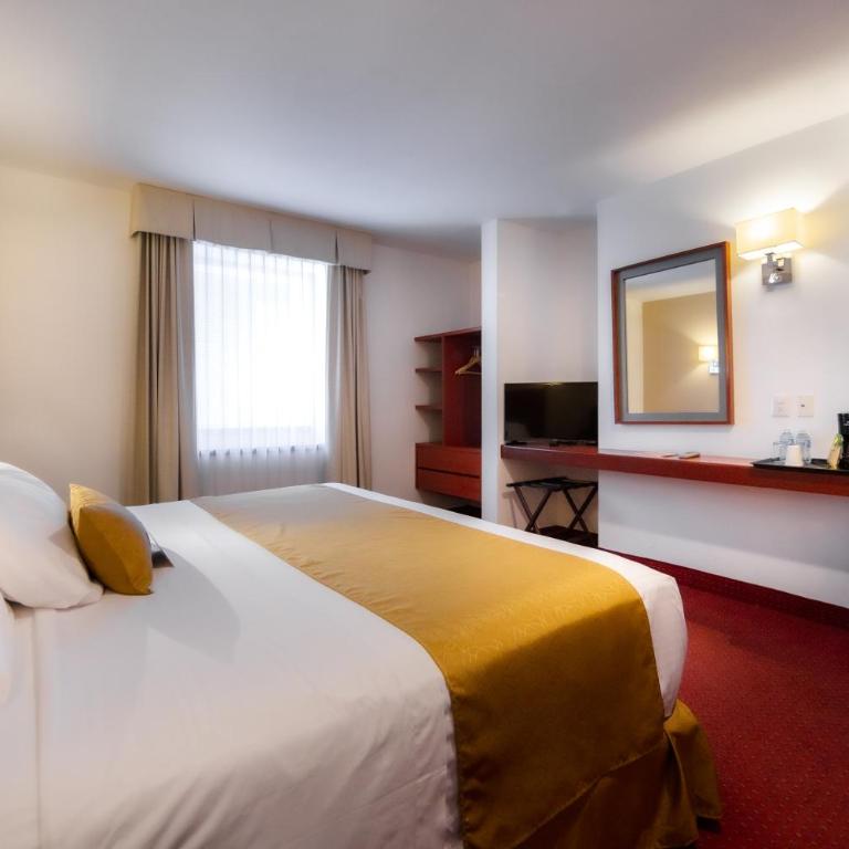 Comfort Inn Queretaro Tecnologico - Efficiency King Room - Accessible/Non-Smoking - 3