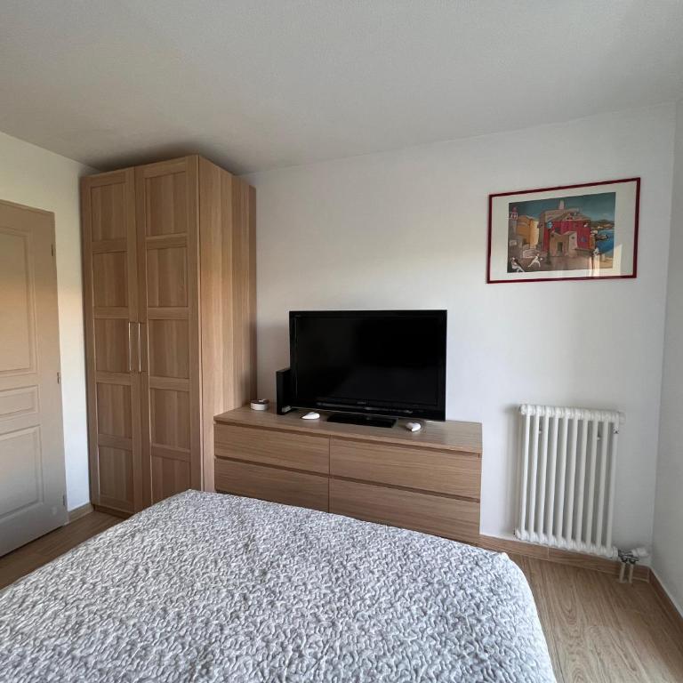 Superbe 2 pièces moderne refait à neuf, PISCINE ! - Appartement 1 Chambre - 22