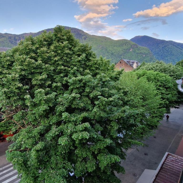 T3 centre-ville Bagnères-de-Luchon - Appartement 2 Chambres - 20