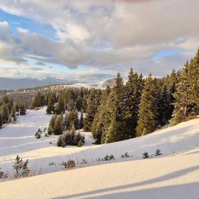 Studio cosy pieds des pistes - Studio - Vue sur Montagne - 8