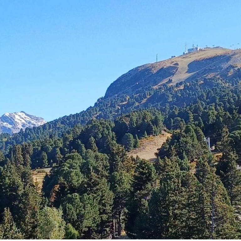 Studio cosy pieds des pistes - Studio - Vue sur Montagne - 14