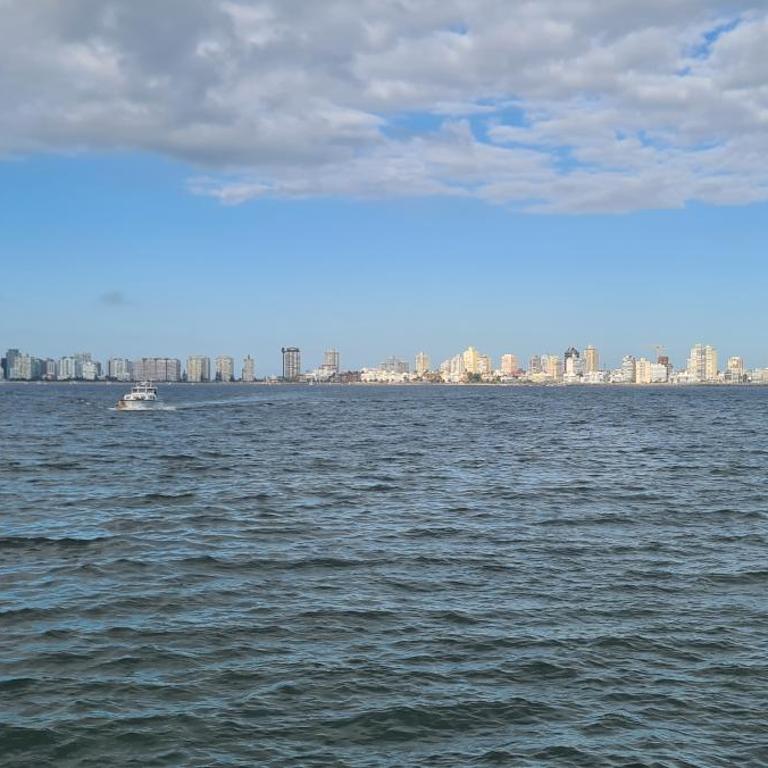 Frente al mar hermoso - One-Bedroom Apartment - 21