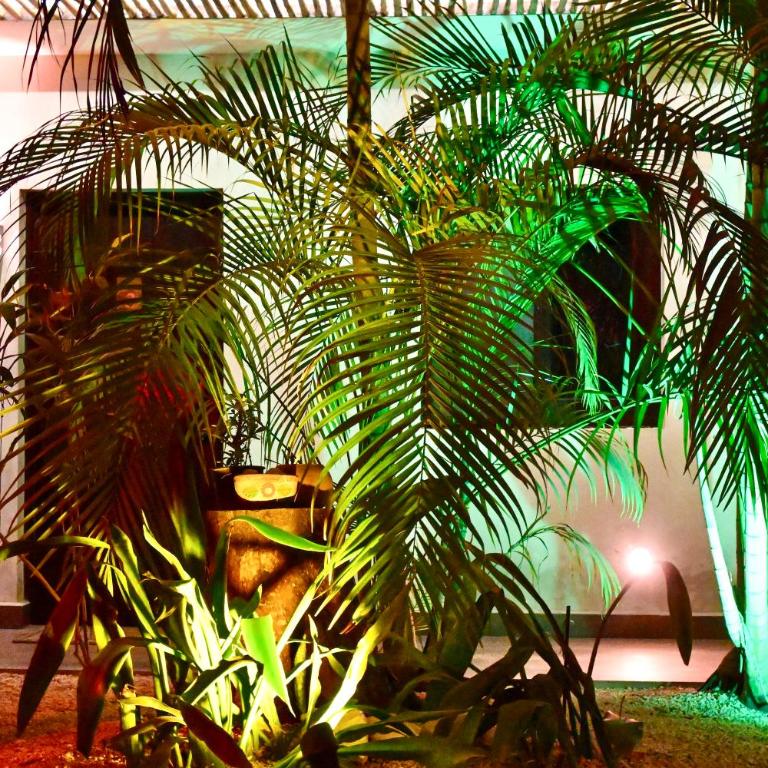 Pacha Tulum Boutique Hotel - Habitación con 1 cama extragrande o 2 individuales - 7