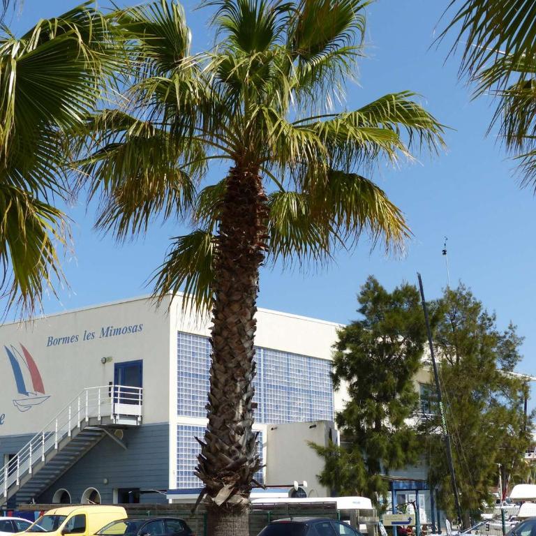 Studio bord de mer La Favière avec parking privatif - FR-1-308-196 - Studio - 9
