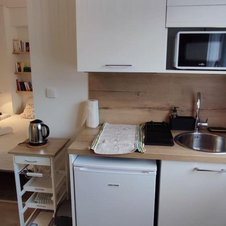 Studio-Heart of town-Bd des Pyrenées-Quiet - Appartement 1 Chambre - 5