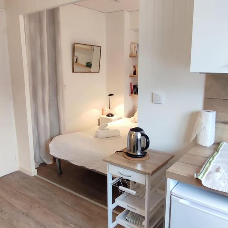 Studio-Heart of town-Bd des Pyrenées-Quiet - Appartement 1 Chambre - 12