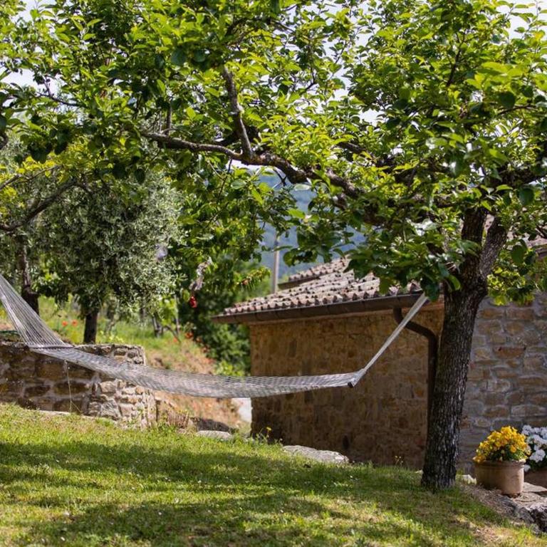 Villa Casale della Torre - Villa - 52