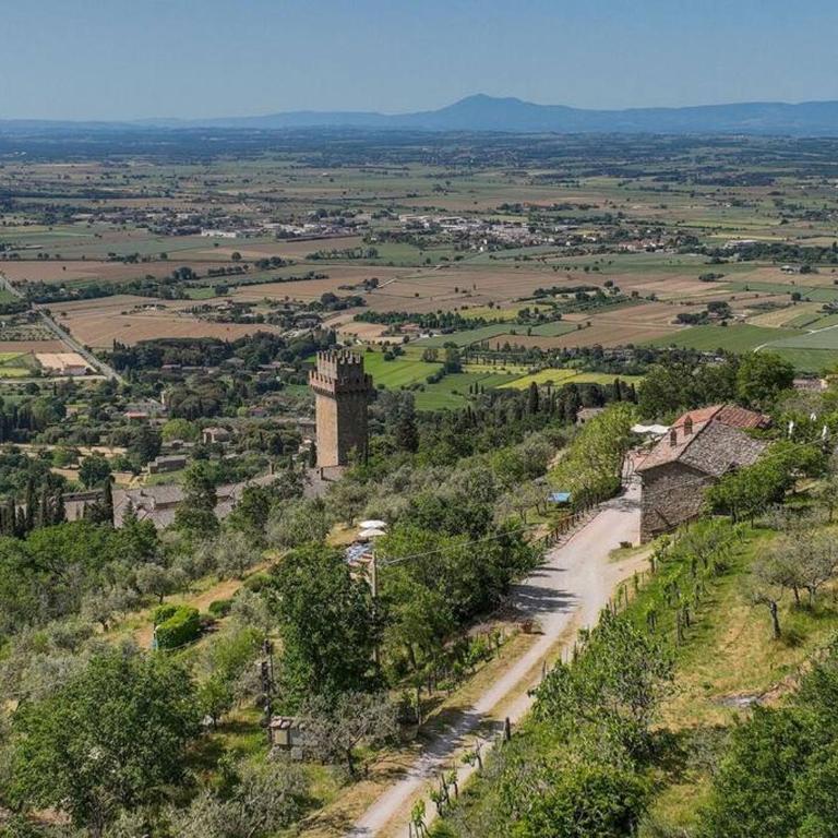 Villa Casale della Torre - Villa - 56