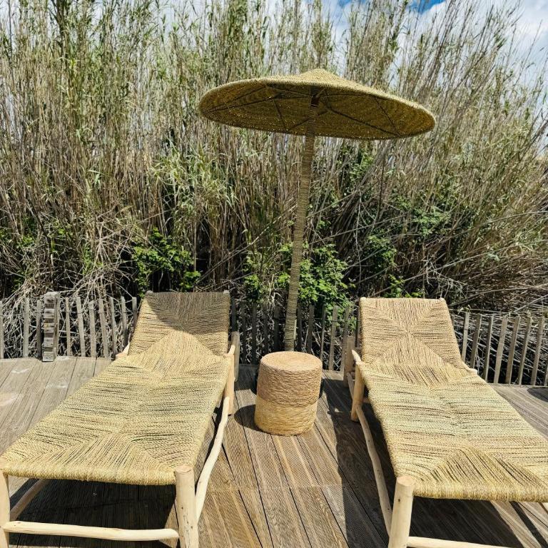 Cabane le Flamant avec jardin, piscine et parking - Appartement 1 Chambre - 29