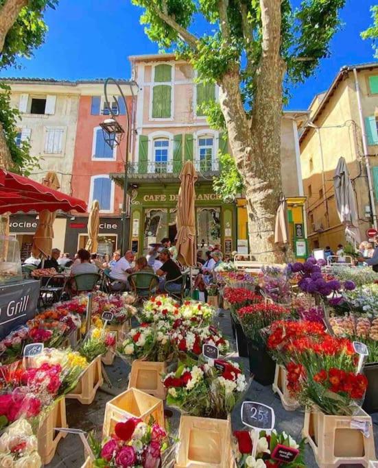 La loge familiale: 110m2, place rose goudard, AC - Apartamento de 3 dormitorios - 43
