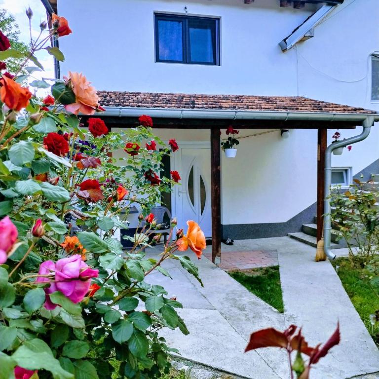 Privatni smeštaj Zlatko - Two-Bedroom Apartment - 6