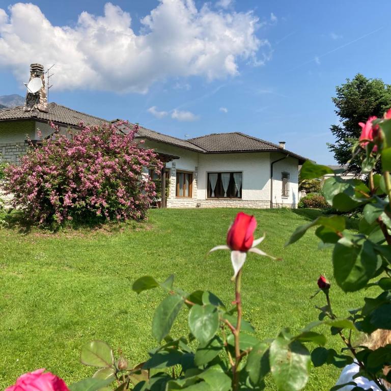 Paradiso sul lago - Casa - 1
