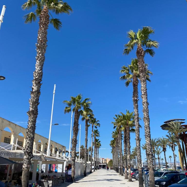 SUN and BEACH LOVERS 12019 - Two-Bedroom Apartment - 14