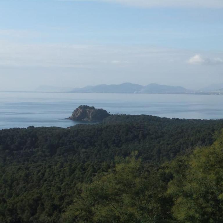 Villa Cap Benat piscine vue mer - Villa - 33