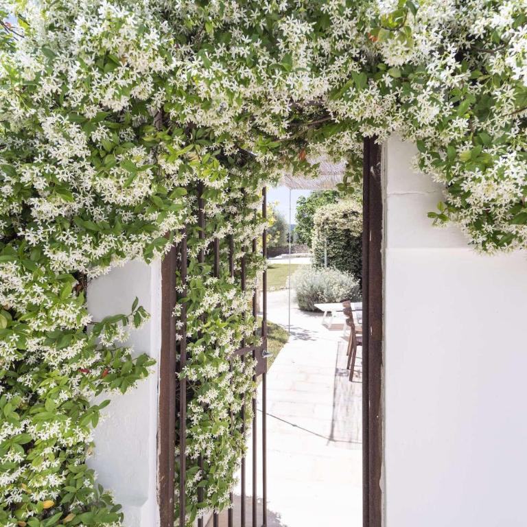 Masseria Alchimia - Suite Familiare con Giardino Privato - 4
