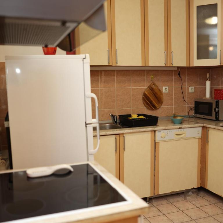 Prostrani stan Tuzla - Apartman sa 1 Spavaćom Sobom - 22