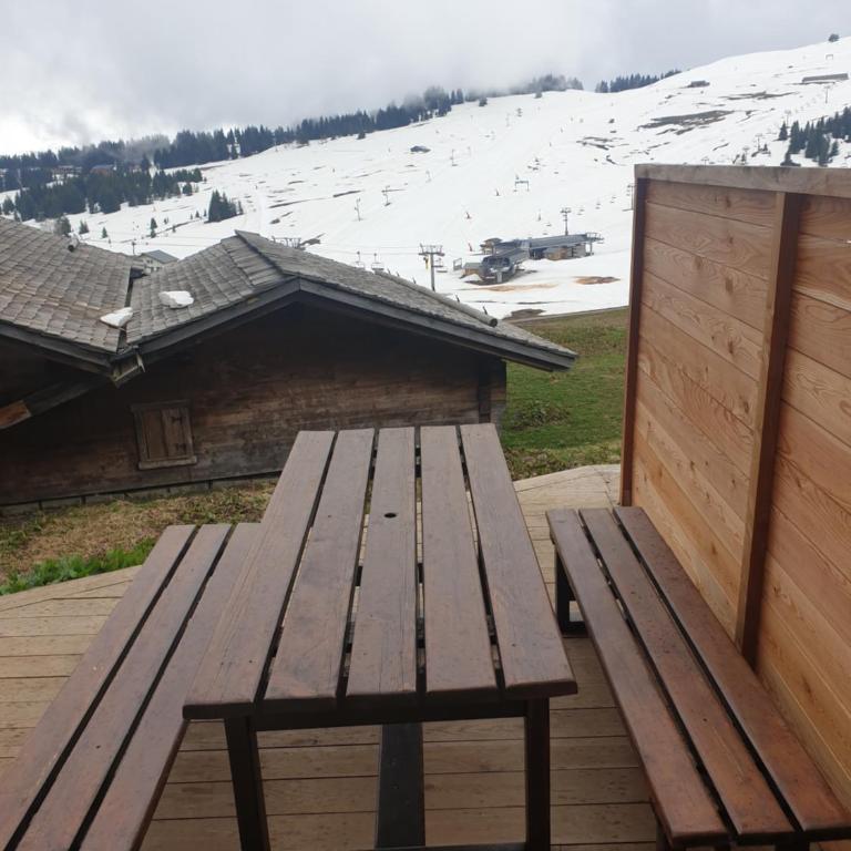 Chalet Les Myrtilles aux Saisies sur les pistes - Studio mit Schlafsofa - 7