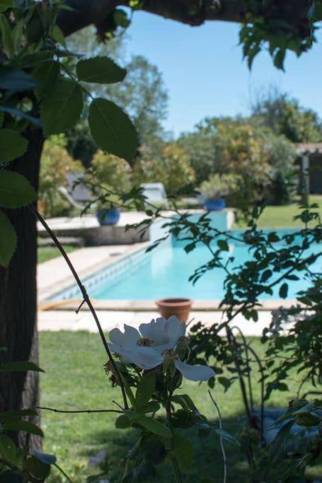 Mas des Grailles - Piscine, Clim - Two-Bedroom Villa - 7