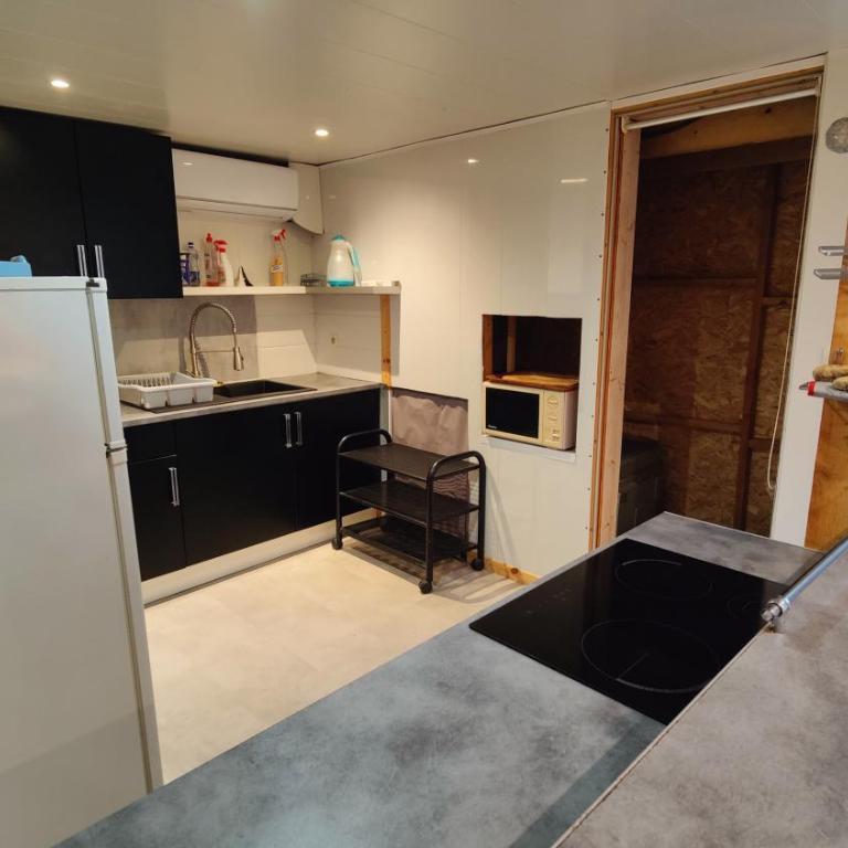 Le studio rustique du Bassin - Appartement 1 Chambre - 6
