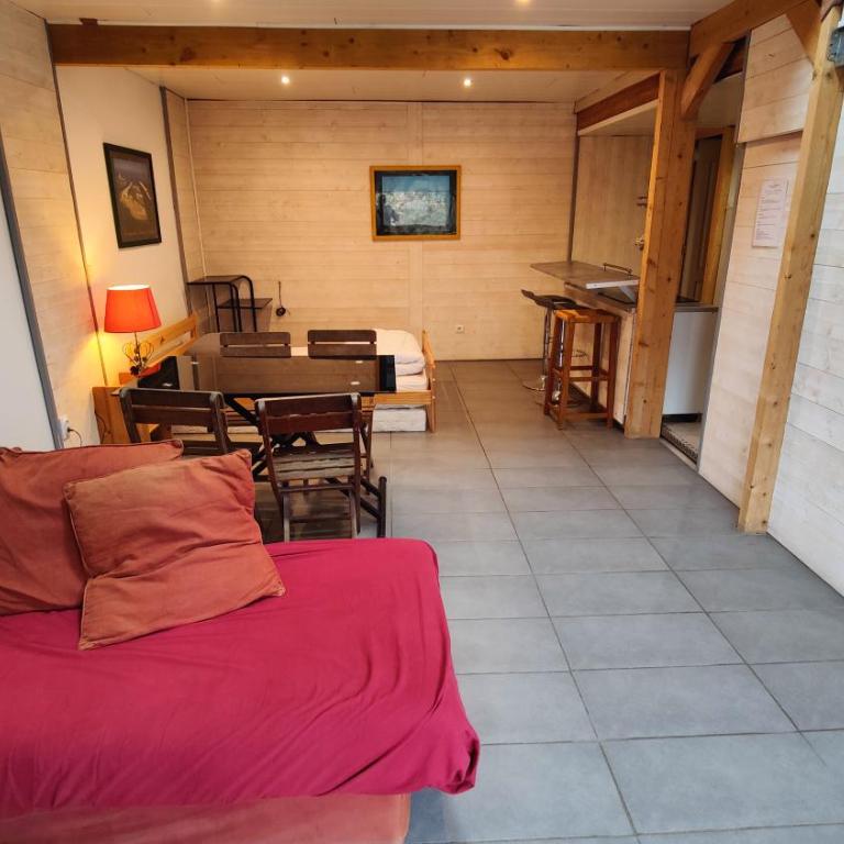 Le studio rustique du Bassin - Appartement 1 Chambre - 3