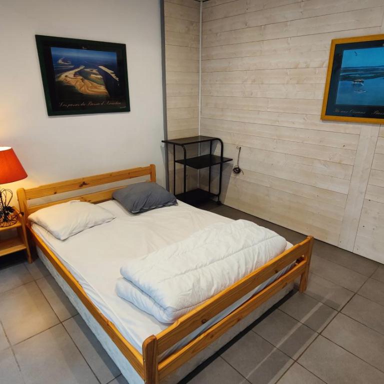 Le studio rustique du Bassin - Appartement 1 Chambre - 4