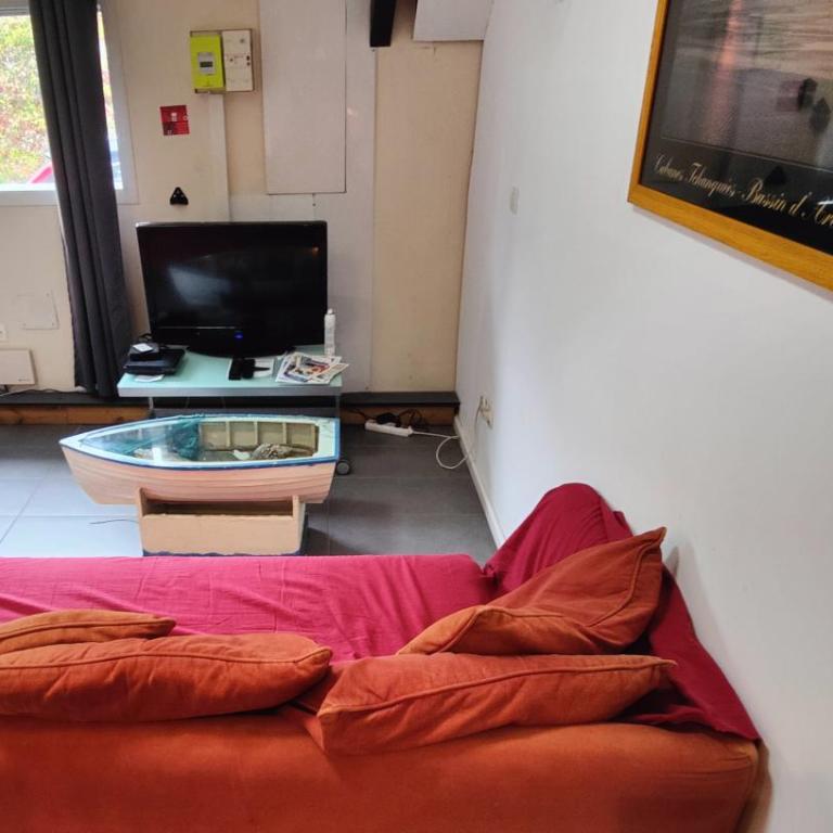 Le studio rustique du Bassin - Appartement 1 Chambre - 2
