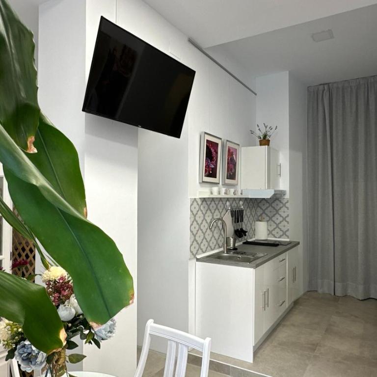 Pizarro 23, en el corazón de Cáceres - Apartment mit 1 Schlafzimmer - 4
