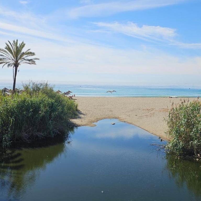 Puerto Banus 2linea playa,piscina y parking - Apartamento de 1 dormitorio - 28