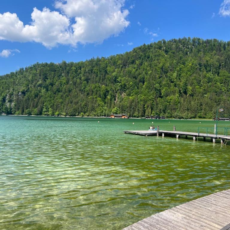 Wolfgangsee Ferienappartement Seeliebe - Appartement - 15