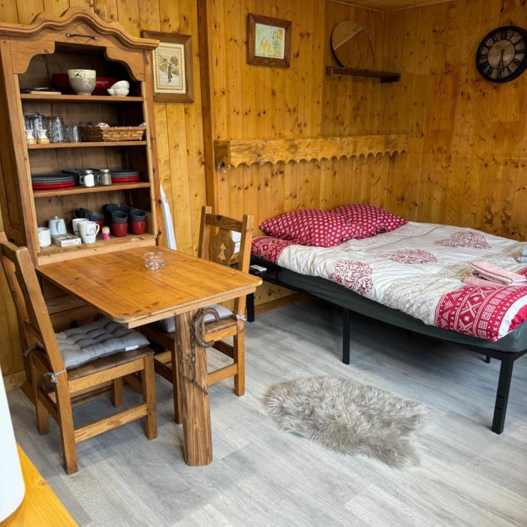 Apparemment cosy style savoyard - Studio - 1