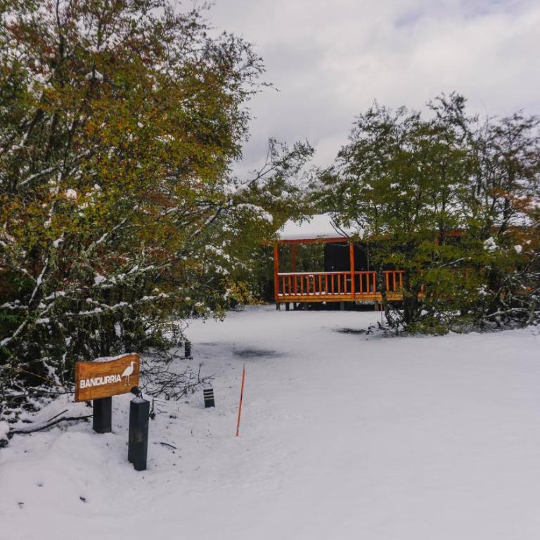 Tiny & Big House Suite Los Mallines de Malalcahuello - Chalet de 1 dormitorio - 63